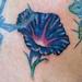 tattoo galleries/ - Morning Glory